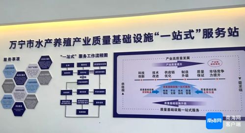萬寧市水產養殖產業質量基礎設施一站式服務站揭牌成立，開啟證照代辦服務新篇章